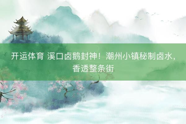 开运体育 溪口卤鹅封神！潮州小镇秘制卤水，香透整条街