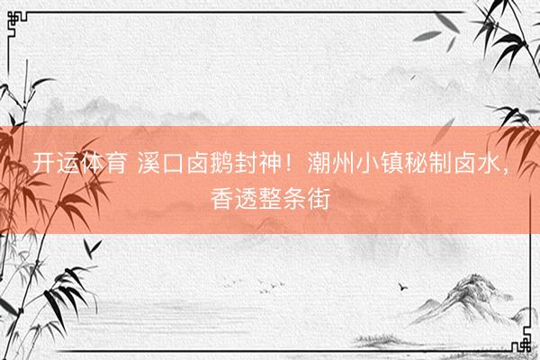 开运体育 溪口卤鹅封神！潮州小镇秘制卤水，香透整条街