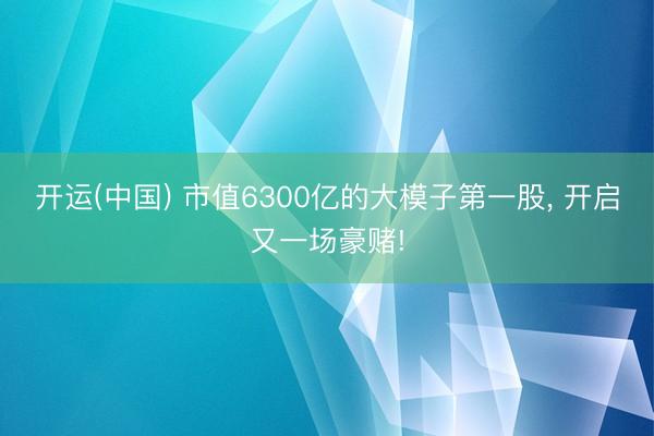 开运(中国) 市值6300亿的大模子第一股， 开启又一场豪赌!